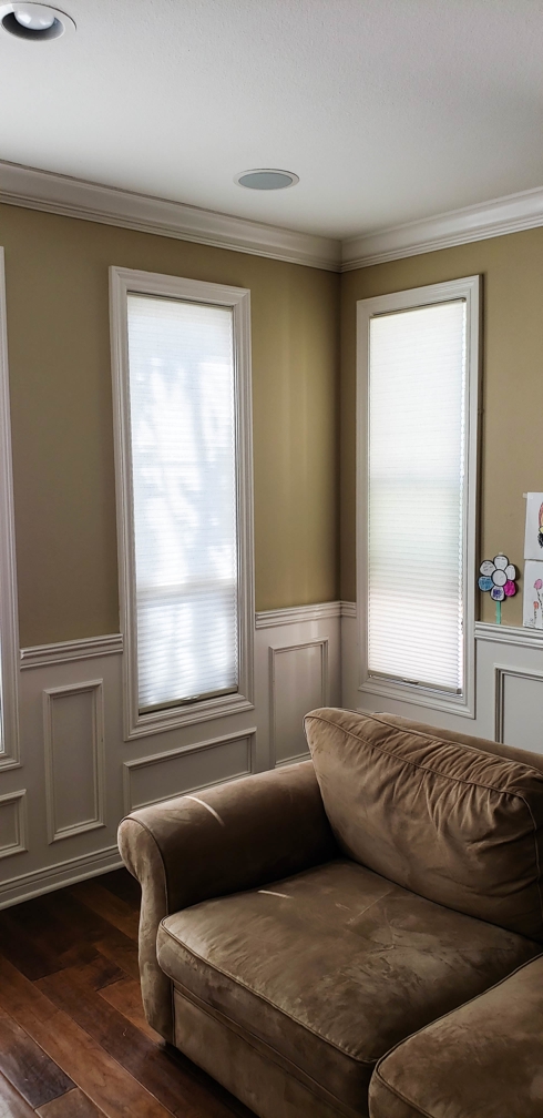 Light Filtering Honeycomb Shades