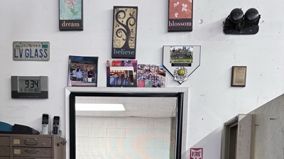 Commercial Door Retractable Screen Door Photo