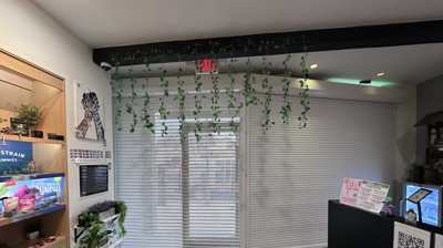 Commercial Rolling Shutters Photo