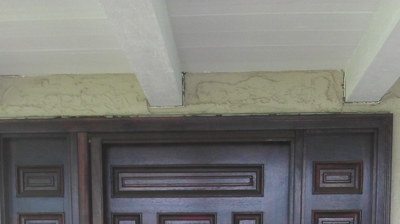 Custom Color Door Retractable Screen Door Photo