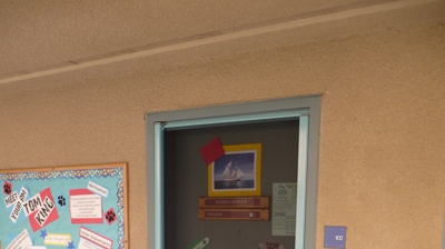 Custom Color Door Retractable Screen Door Photo