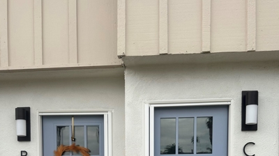 Single Door Retractable Screen Door Photo