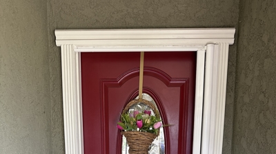 Single Door Retractable Screen Door Photo