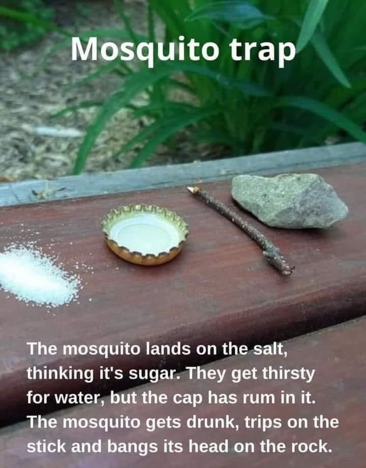 🚨🦟 Tired of being a buffet for mosquitoes?