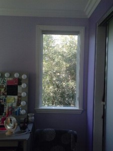 window with roller shades
