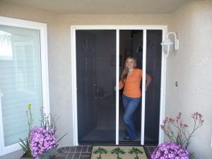 door with retractable screen