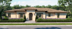 New Travata 55+ Neighborhood in Cypress Village, Irvine